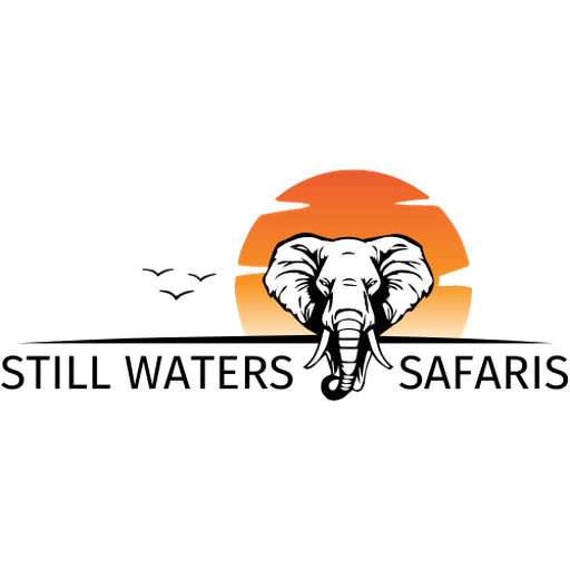 Still Waters Logo